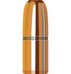 Hornady .510 / 500 570 Grain DGS (Dangerous Game Solid) (50 Ct.)