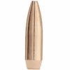 Sierra .243 / 6mm 85 Grain Hollow Point Boat Tail GameKing (100 Ct.) -Best Ammunition Shop SIE1530 e1614892971545