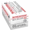 Winchester Wildcat 22 LR 40 Grain Lead Round Nose Ammunition (50 Rounds)